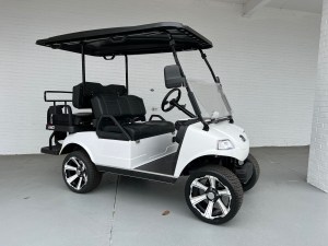 White Evolution Pro Lithium Electric Golf Cart for sale